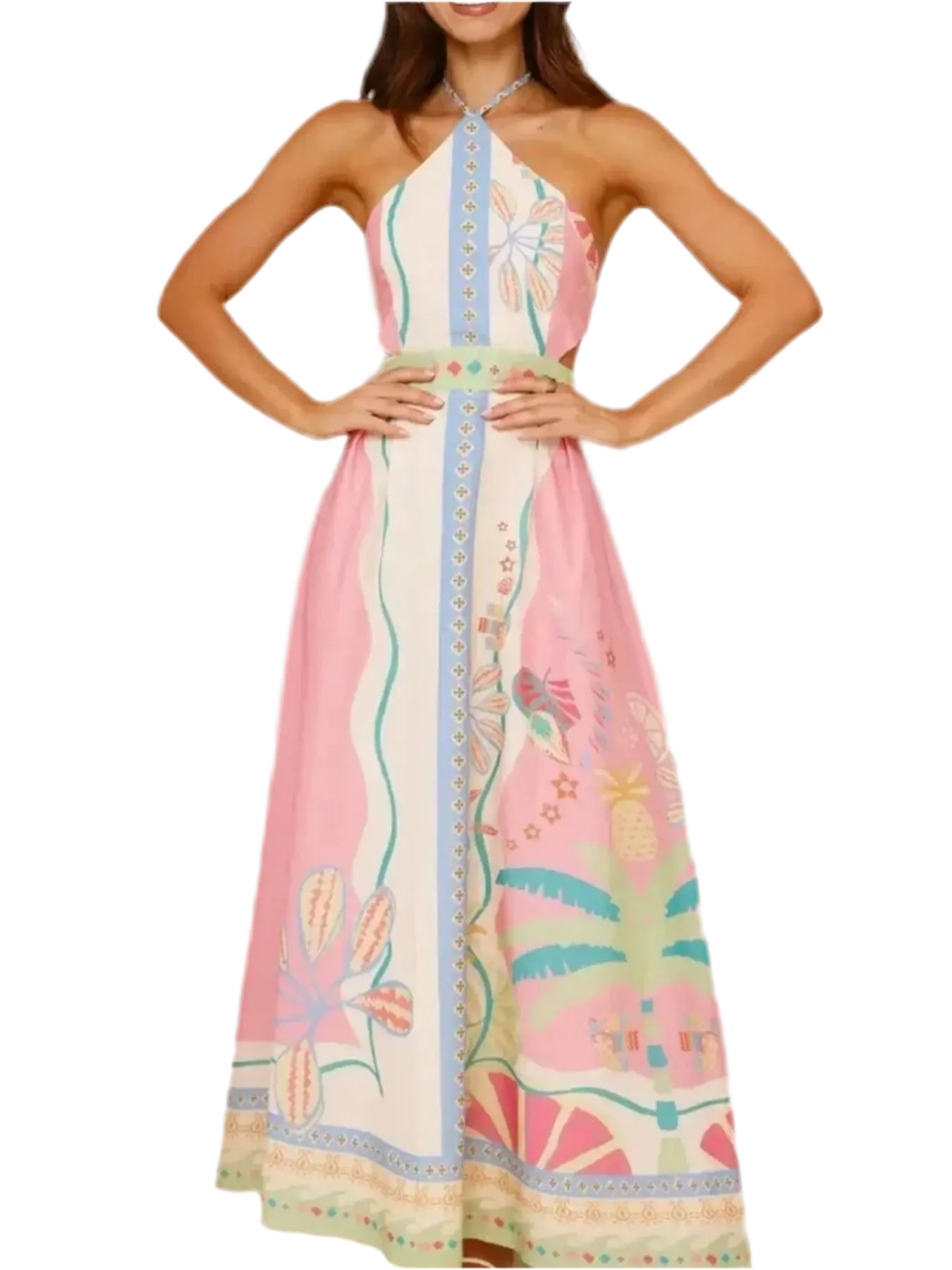 Halter Neck Printed Maxi Dress