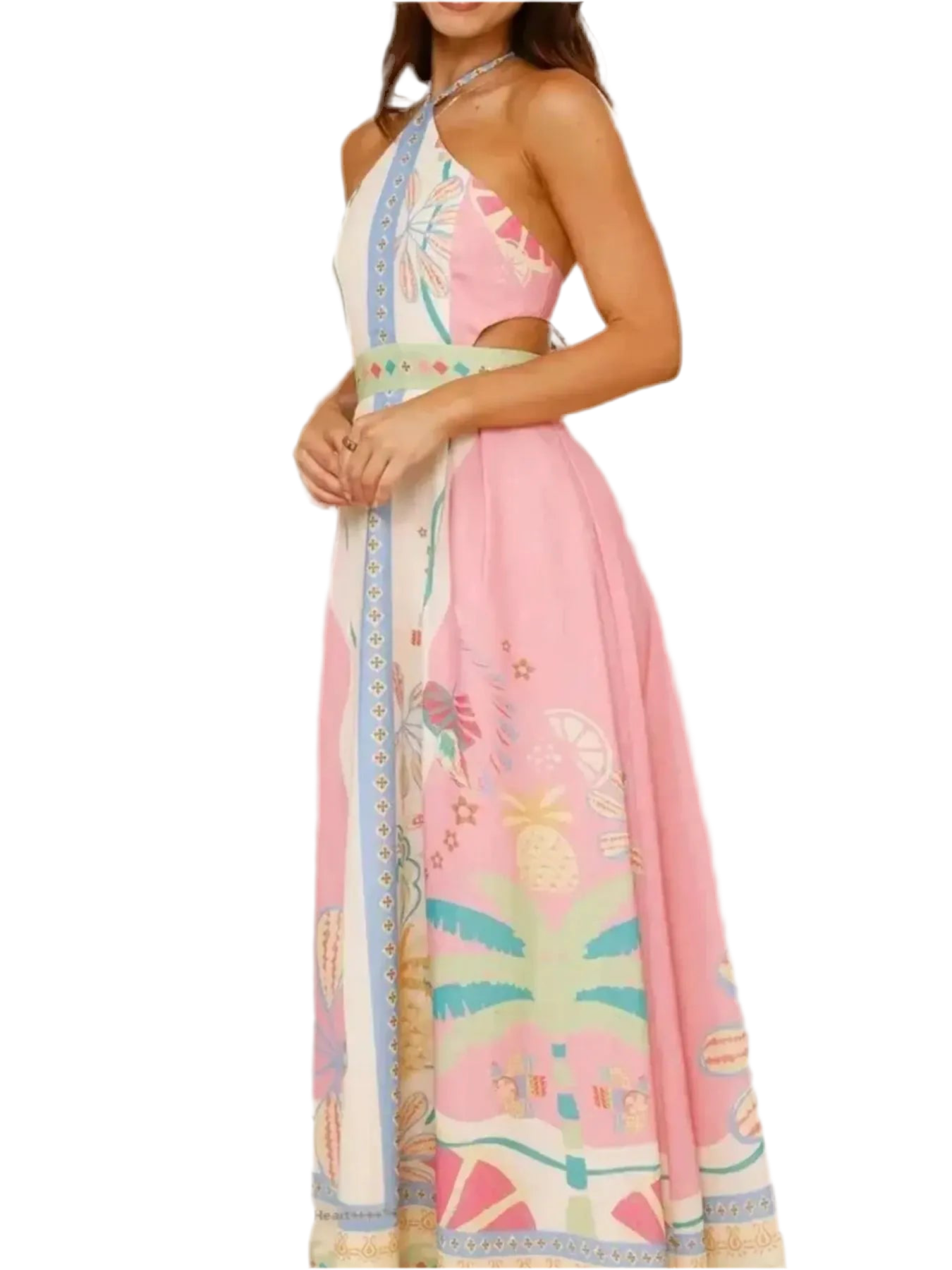 Halter Neck Printed Maxi Dress